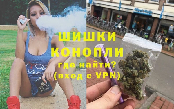 сатива Балабаново