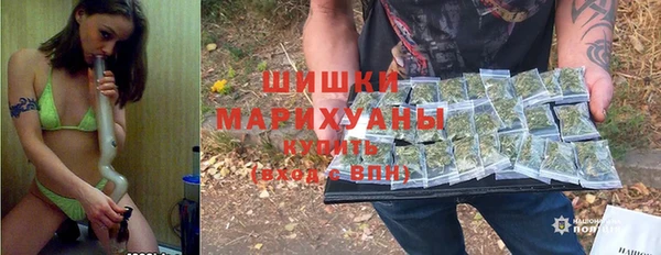 гидра Белокуриха