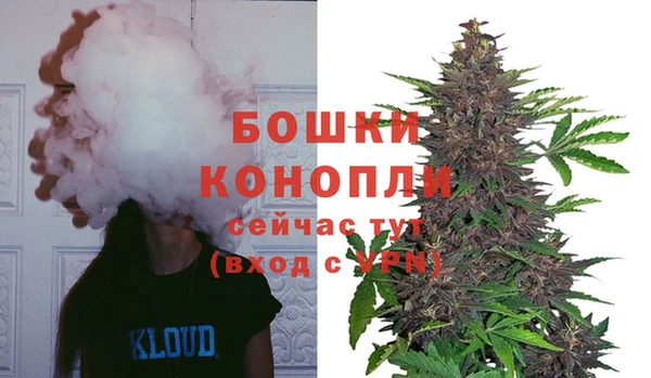 сатива Балабаново