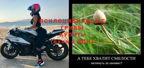 сатива Балабаново
