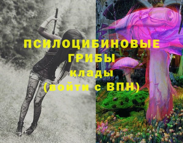 стафф Балахна